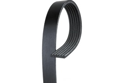 Belt,Serp