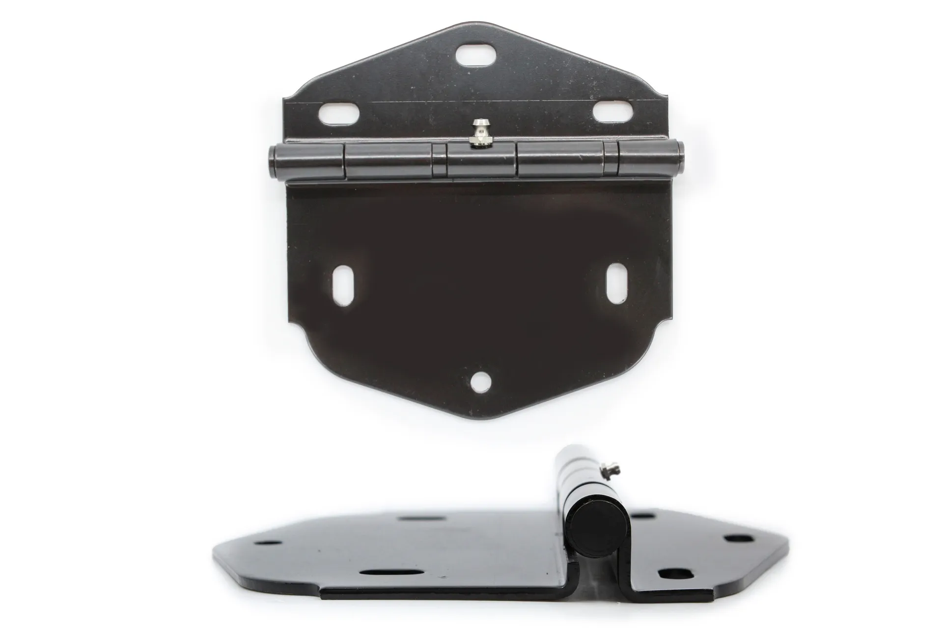 Hinge, Rear Emergency Door, SS