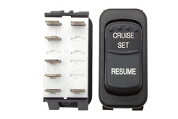 Switch,Rocker,Ngr,Cruise Set/Resume